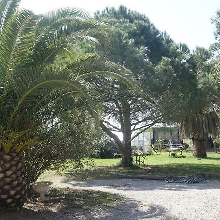 Mas Du Roc Villa Saint-Nazaire  Exteriör bild